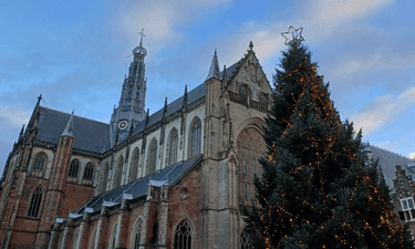 Fijne feestdagen - website