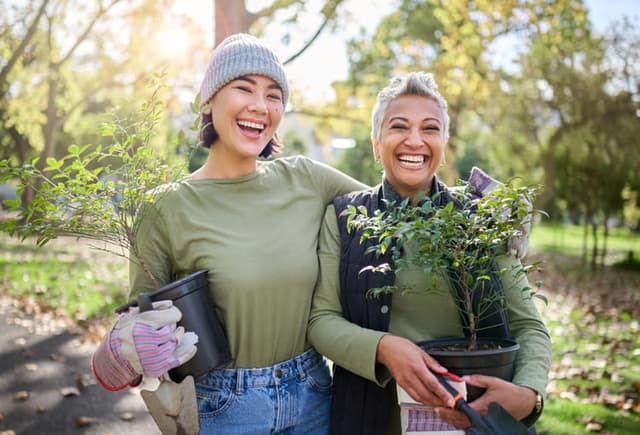 shutterstock_2256661093 (1)